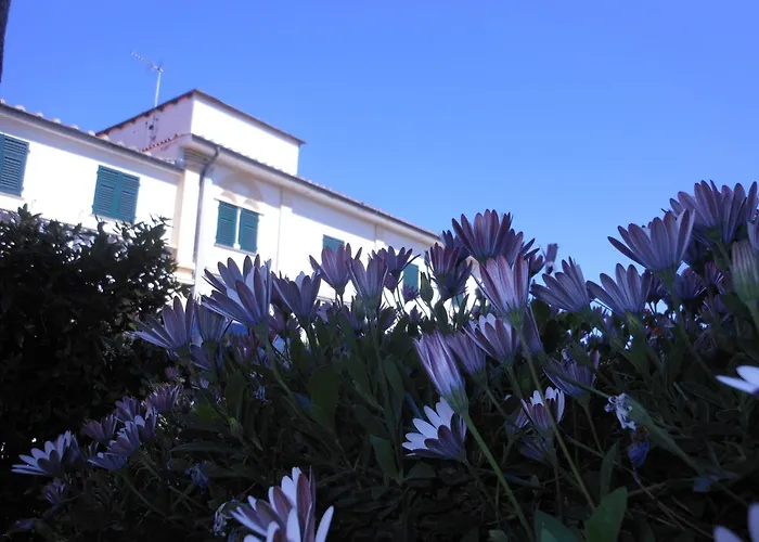 Il Lido
